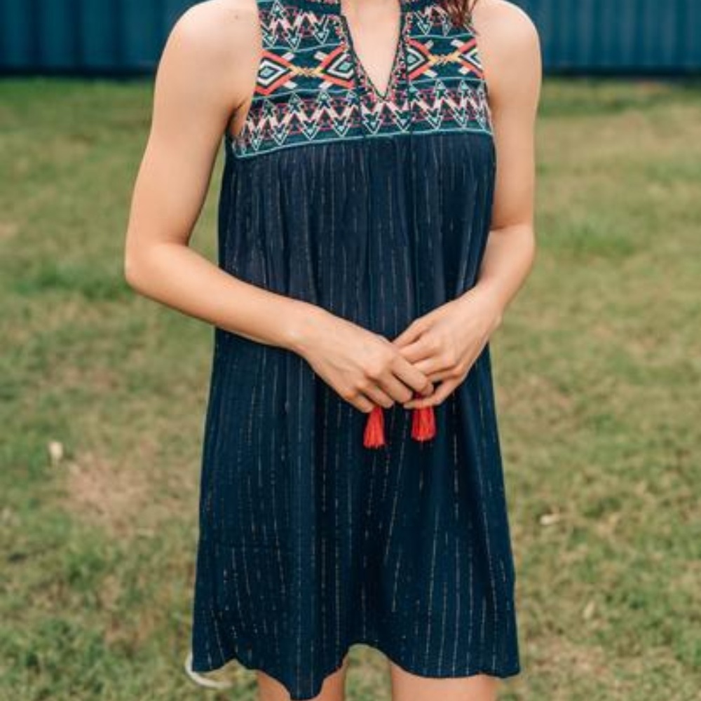 Navy Metallic God Stripe Anthropologie Style Dress